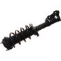 Autopart International Strut/Coil Spring Assy 2701730413