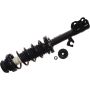 Autopart International Strut/Coil Spring Assy 2701730422