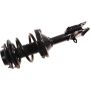 Autopart International Strut/Coil Spring Assy 2701730430