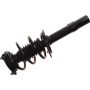 Autopart International Strut/Coil Spring Assy 2701730456