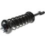 Autopart International Strut/Coil Spring Assy 2701730460