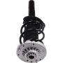 Autopart International Strut/Coil Spring Assy 2701733677