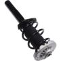 Autopart International Strut/Coil Spring Assy 2701733678