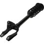 Autopart International Strut/Coil Spring Assy 2701733696