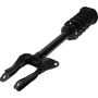 Autopart International Strut/Coil Spring Assy 2701733697