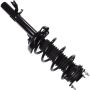 Autopart International Strut/Coil Spring Assy 2701733701