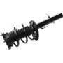 Autopart International Strut/Coil Spring Assy 2701733719