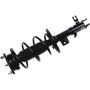 Autopart International Strut/Coil Spring Assy 2701733728