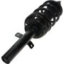 Autopart International Strut/Coil Spring Assy 2701787394