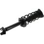 Autopart International Strut/Coil Spring Assy 2701787398