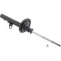 Autopart International Strut Assembly 270180283