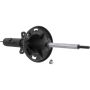 Autopart International Strut Assembly 270180471