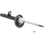 Autopart International Strut Assembly 270180473