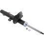 Autopart International Strut Assembly 270180476