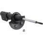 Autopart International Strut Assembly 270180482