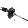 Autopart International Strut Assembly 270180483
