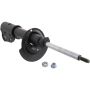 Autopart International Strut Assembly 270180484