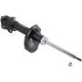 Autopart International Strut Assembly 270180487