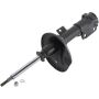 Autopart International Strut Assembly 270180488