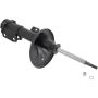 Autopart International Strut Assembly 270180489