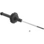 Autopart International Strut Assembly 270180492