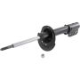 Autopart International Strut Assembly 270180495
