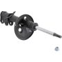 Autopart International Strut Assembly 270180496