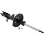 Autopart International Strut Assembly 270180498