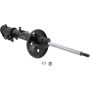 Autopart International Strut Assembly 270180499