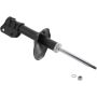 Autopart International Strut Assembly 270180504