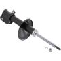 Autopart International Strut Assembly 270180505