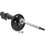 Autopart International Strut Assembly 270180513