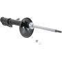 Autopart International Strut Assembly 270180515