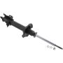 Autopart International Strut Assembly 270180532