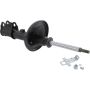 Autopart International Strut Assembly 270180547