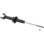 Autopart International Strut Assembly 270180549