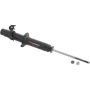Autopart International Strut Assembly 270180552