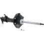 Autopart International Strut Assembly 270180554