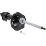 Autopart International Strut Assembly 270180558