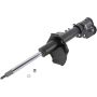 Autopart International Strut Assembly 270180561