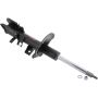 Autopart International Strut Assembly 270180563