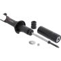 Autopart International Strut Assembly 270180567