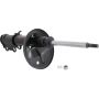 Autopart International Strut Assembly 270180577