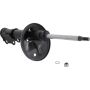 Autopart International Strut Assembly 270180578