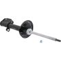 Autopart International Strut Assembly 270180581