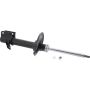 Autopart International Strut Assembly 270180582