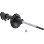 Autopart International Strut Assembly 270180585