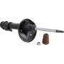 Autopart International Strut Assembly 270180587