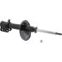 Autopart International Strut Assembly 270180590