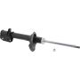Autopart International Strut Assembly 270180591